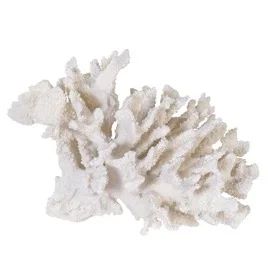 Aurora Coral Decor